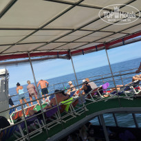 фото из отзыва ID 1658575