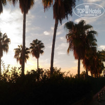 фото из отзыва ID 1658628