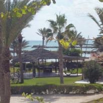 фото из отзыва ID 1658681