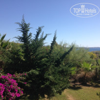 фото из отзыва ID 1658682