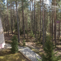 фото из отзыва ID 1658688