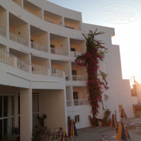 фото из отзыва ID 1658812