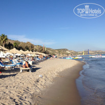 фото из отзыва ID 1658812