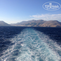 фото из отзыва ID 1658812