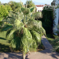 фото из отзыва ID 1658930