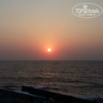 фото из отзыва ID 1659102