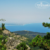 фото из отзыва ID 1659253