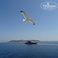 фото из отзыва ID 1659253