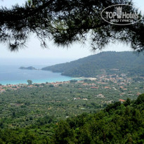 фото из отзыва ID 1659253