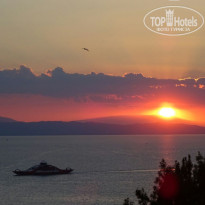 фото из отзыва ID 1659253