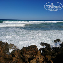 фото из отзыва ID 1659451