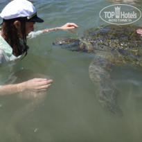 фото из отзыва ID 1659478