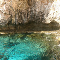 фото из отзыва ID 1659451