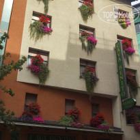 фото из отзыва ID 1659506