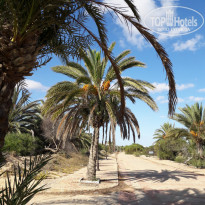 фото из отзыва ID 1659692