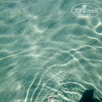 фото из отзыва ID 1659898