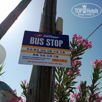 фото из отзыва ID 1659898