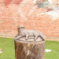 фото из отзыва ID 1659950