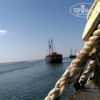 фото из отзыва ID 1659939