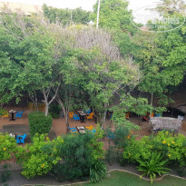 фото из отзыва ID 1656694