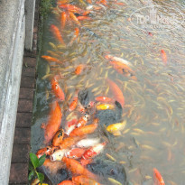 фото из отзыва ID 1651683