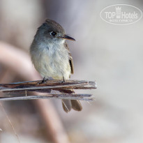 фото из отзыва ID 1651277