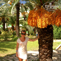 фото из отзыва ID 166694