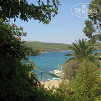 фото из отзыва ID 166338