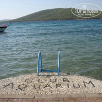 фото из отзыва ID 166338