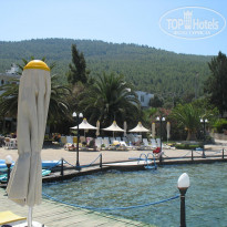 фото из отзыва ID 166338