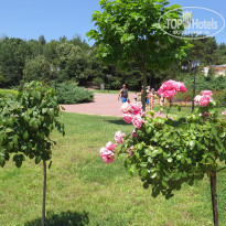 фото из отзыва ID 1660002