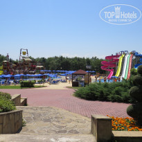 фото из отзыва ID 1660002