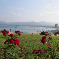 фото из отзыва ID 1660002