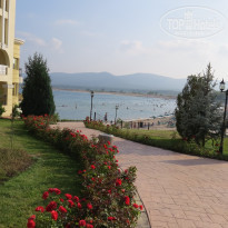 фото из отзыва ID 1660002