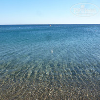 фото из отзыва ID 1660037