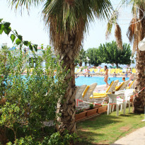 фото из отзыва ID 1660173