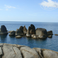 фото из отзыва ID 1660319