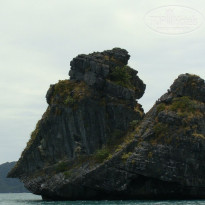 фото из отзыва ID 1660319