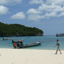 фото из отзыва ID 1660319