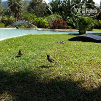 фото из отзыва ID 1660313