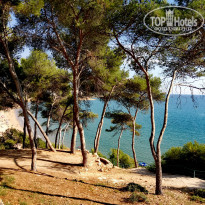 фото из отзыва ID 1660616