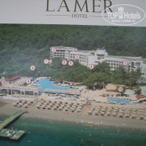 фото из отзыва ID 1660587