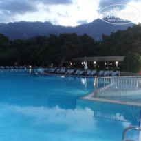 фото из отзыва ID 1660587