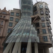 фото из отзыва ID 1661041