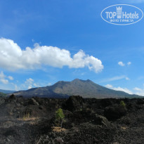 фото из отзыва ID 1661074