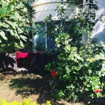 фото из отзыва ID 1661107