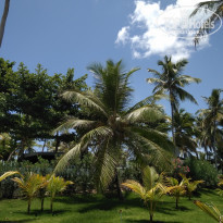 фото из отзыва ID 1661118