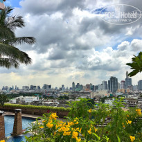 фото из отзыва ID 1661188