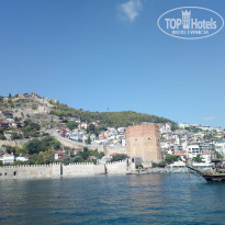 фото из отзыва ID 1661244