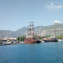 фото из отзыва ID 1661244